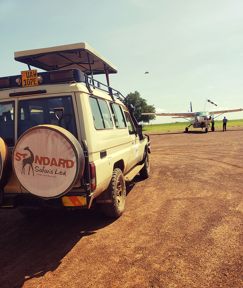 Budget & Luxury Gorilla Trekking Safaris