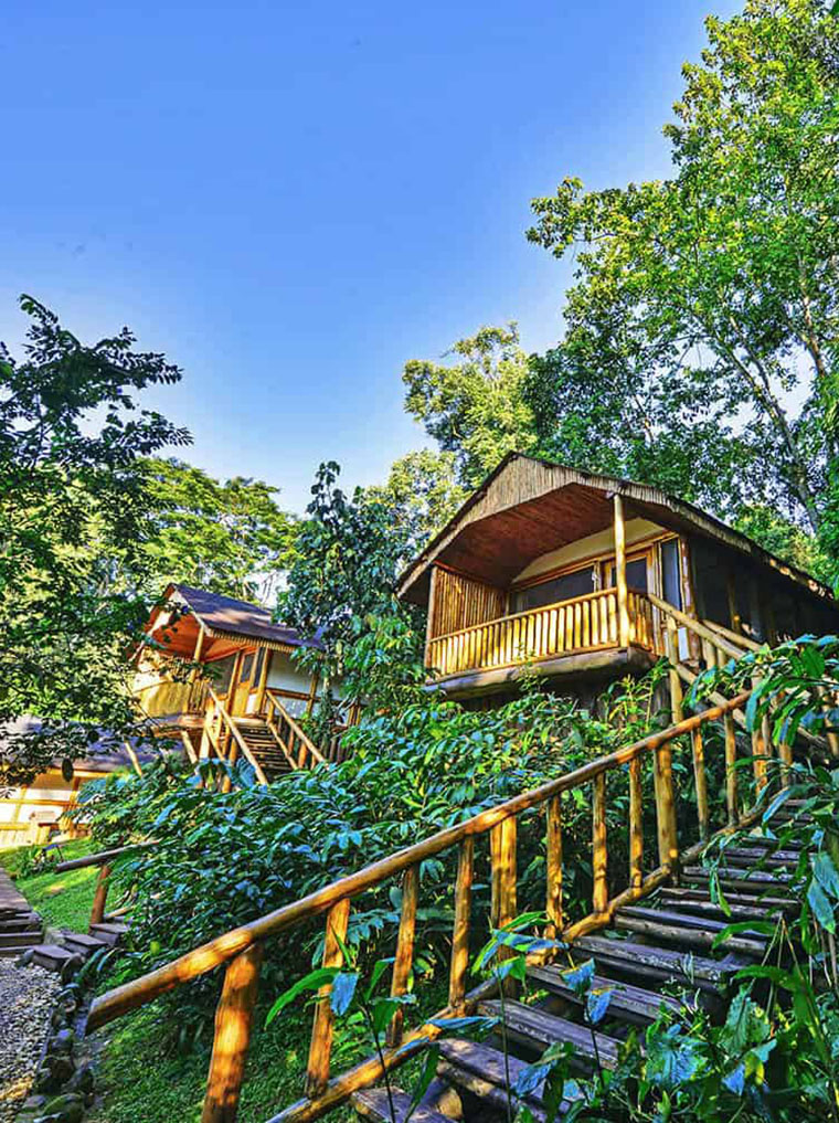 Buhoma Lodge - Gorilla Trekking Lodge