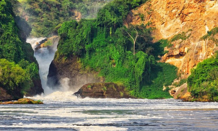 2 Days Murchison Falls Wildlife Safari