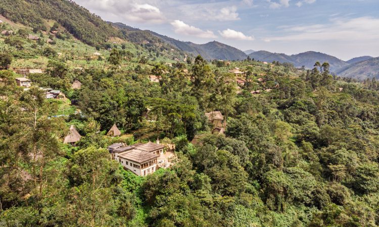 14 Days Vacation in Uganda