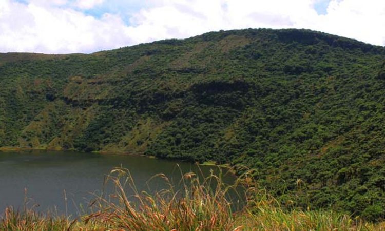 4 Days Bwindi Gorillas & Bisoke Hike