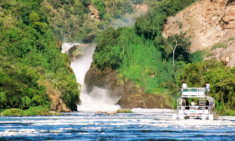 4 Days Murchison Falls Wildlife & Chimps