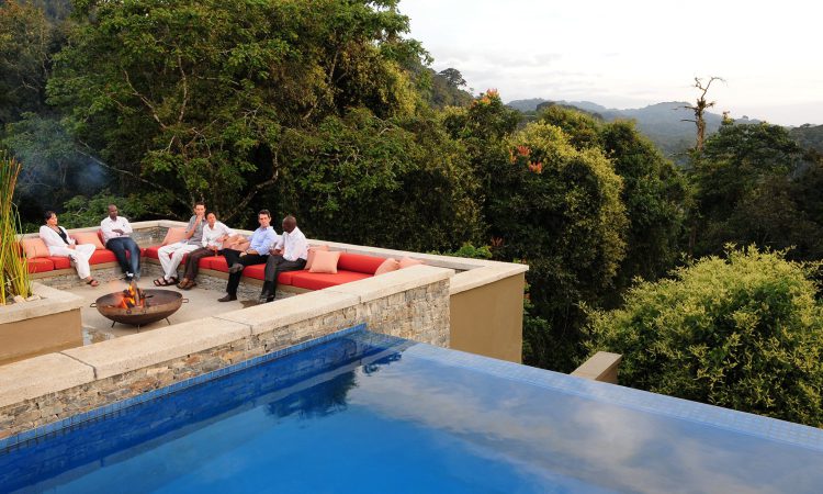 4 Days Nyungwe Primates Safari