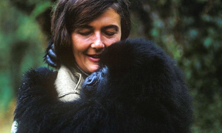 5 Days Rwanda Primates & Dian Fossey Hike