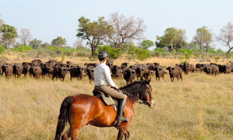 Horseback Riding in Lake Mburo National Park