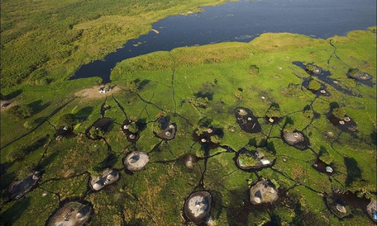 sudd wetland in south sudan