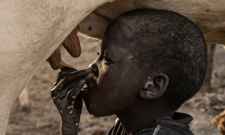 Mundari culture