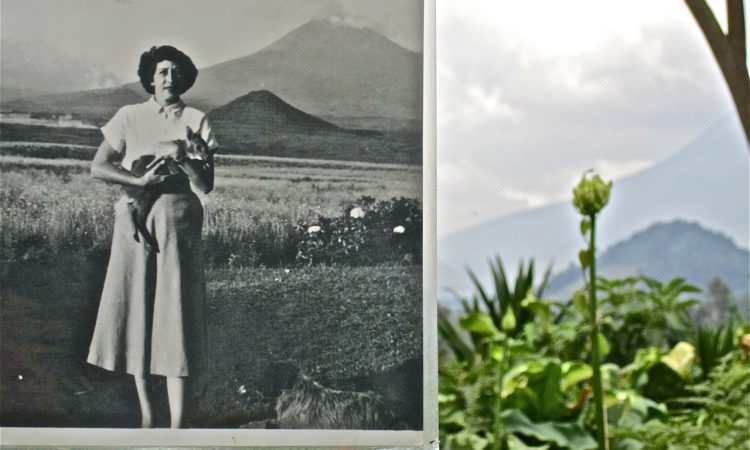 Rosamond Carr Founder Imbabazi Orphanage Rwanda
