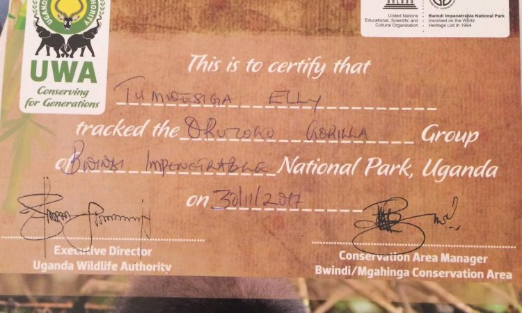 Gorilla Trekking Certificate