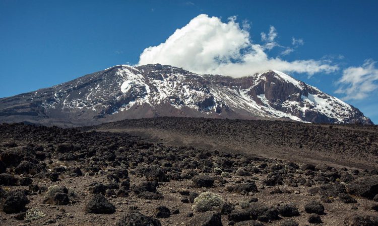 Combining gorilla trekking with Mount. Kilimanjaro hike