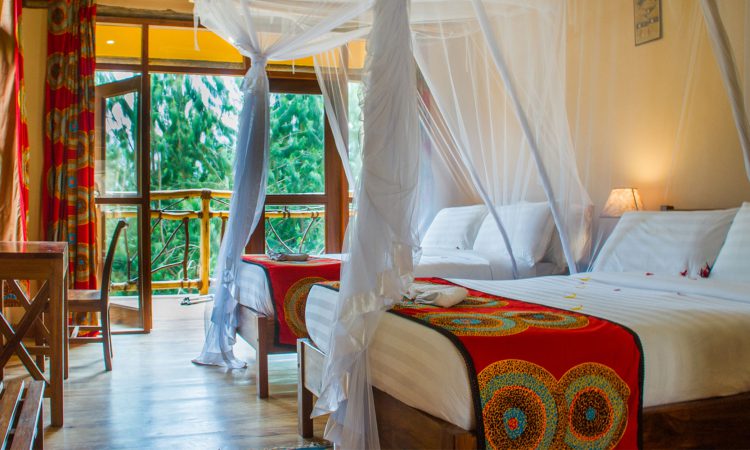 Top lodges in Bwindi Gorilla National Park.