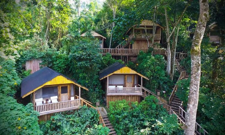 Budget lodges in Ruhija gorilla sector.