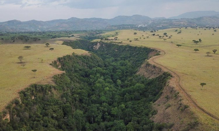 Kyambura gorge