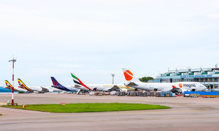 Gorilla trekking from Entebbe International Airport