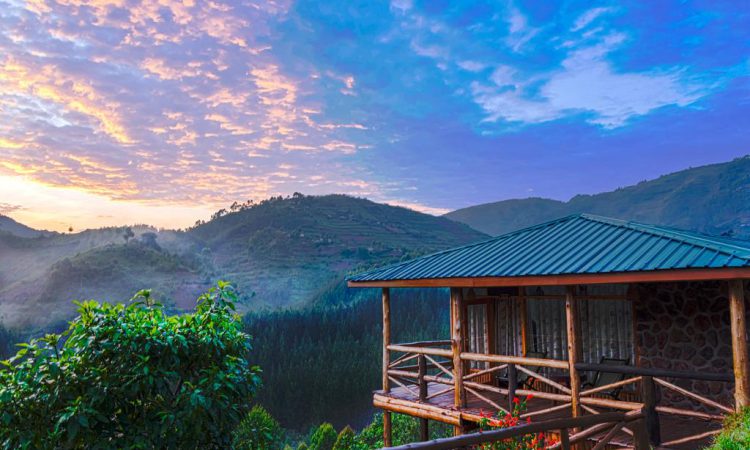 Budget lodges in Rushaga gorilla sector