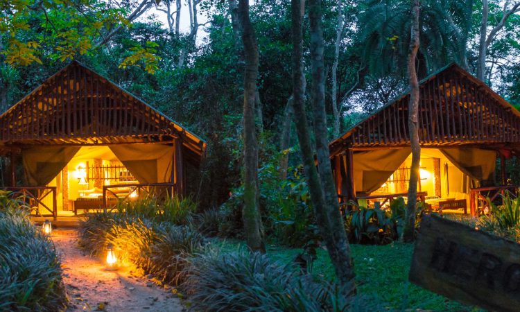 Budget lodges in Kibale national park