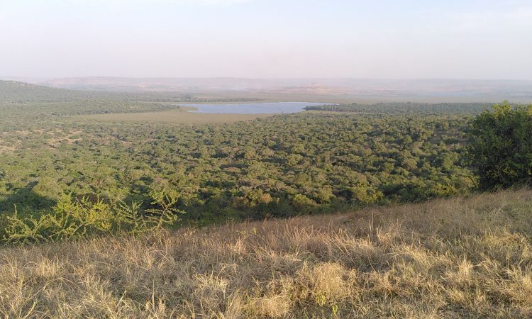 Kazuma Hill Lookout in Lake Mburo National Park