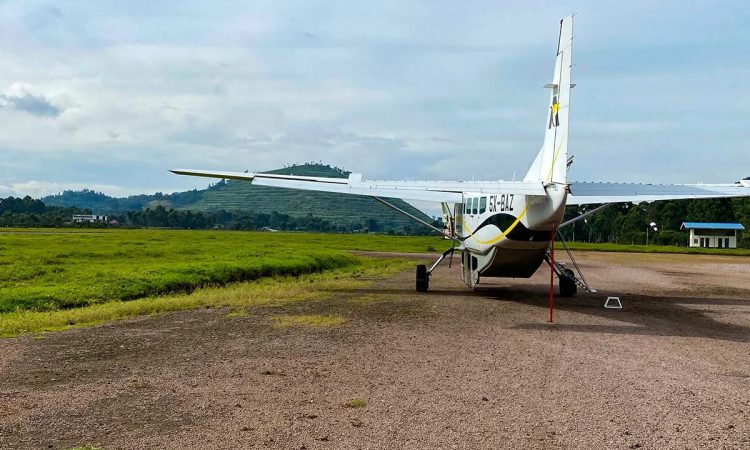Uganda flying safaris