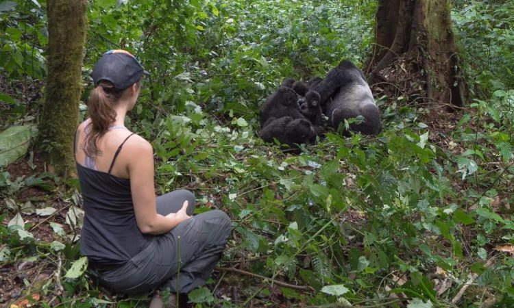 How to trek gorillas