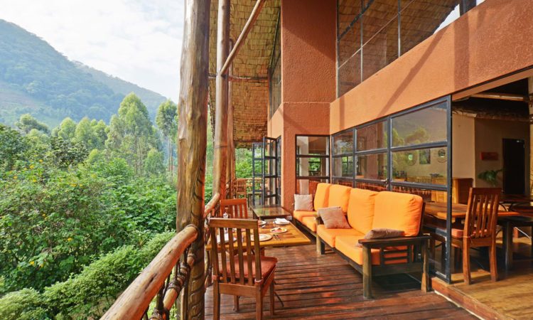 Luxury Lodges in Buhoma Sector