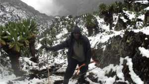 Hiking the steep slopes of Mount Rwenzori