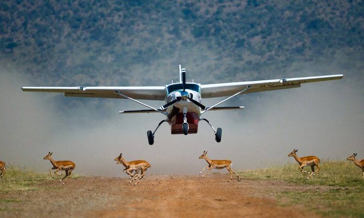 3 Days Kidepo Flying Safaris