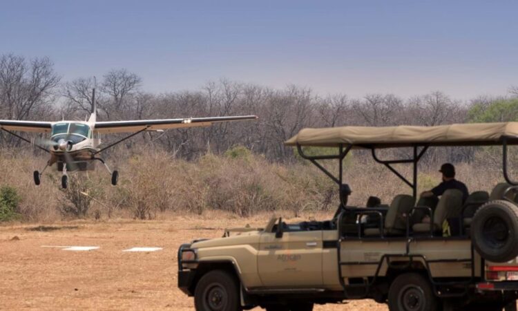 4 Days Tanzania Flying Safari (Serengeti and Ngorongoro)