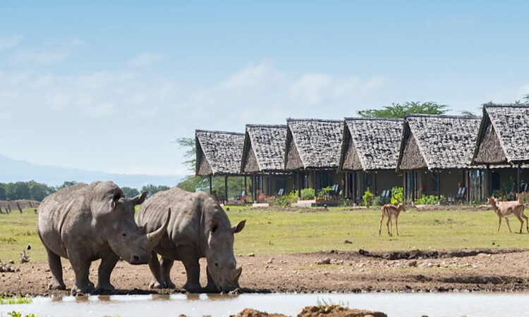 6 Days Sweetwaters, Samburu and Lake Nakuru Safari