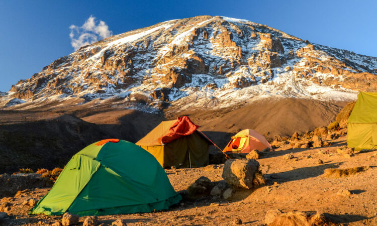 8 Days Mount. Kilimanjaro Hike (Lemosho Route)