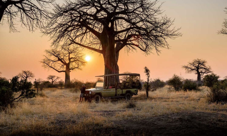 Day Trip to Selous Game Reserve from Zanzibar (By Flight)