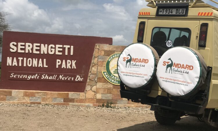 2 Days Serengeti Flying Safari from Zanzibar