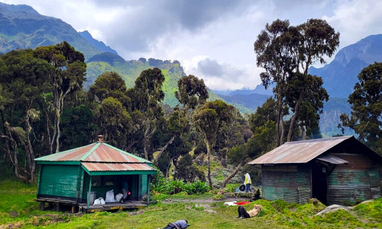 3 days john matte camp