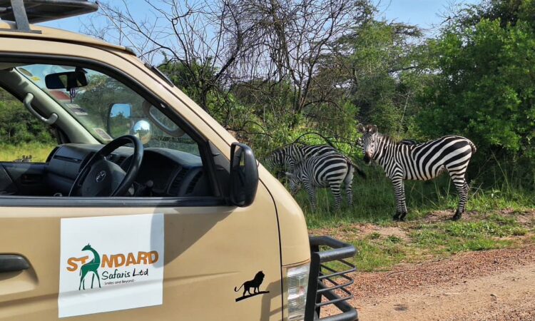 How to get to Lake Mburo National Park?