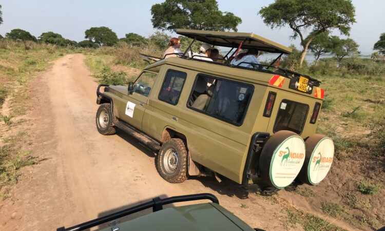 vehicle in murchison