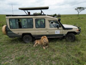 7-seater Landcruiser