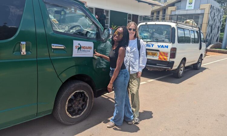 standard safaris cars