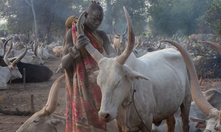 South Sudan cultural tours