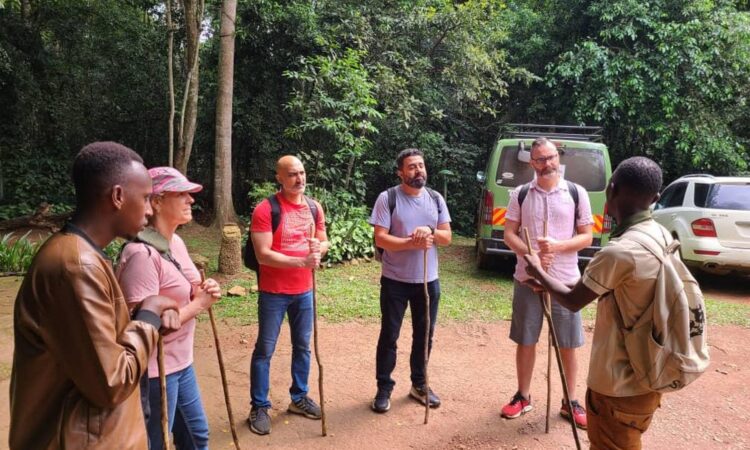 mabira forest