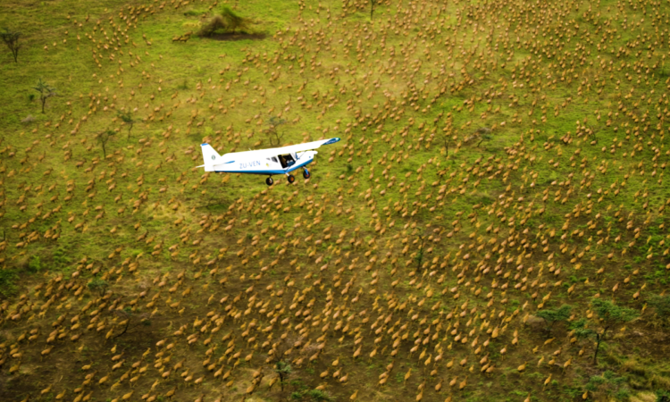 About Boma National Park