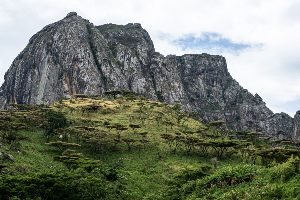 Mountains in South Sudan | Standard Gorilla Safaris