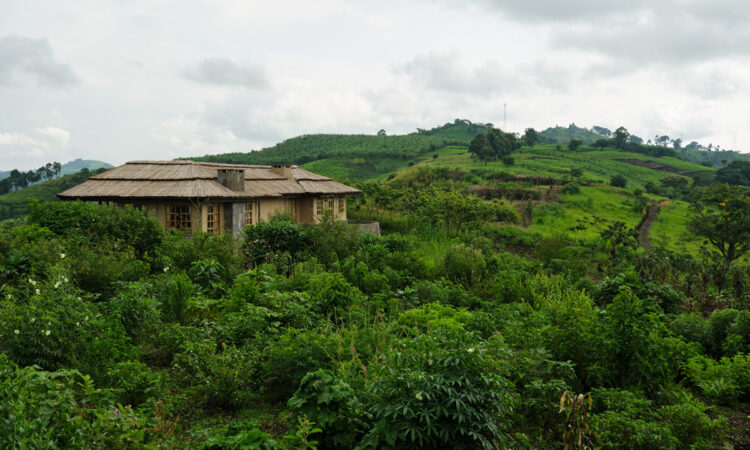 Best Recommended Lodges to Stay Around Kibale National Park