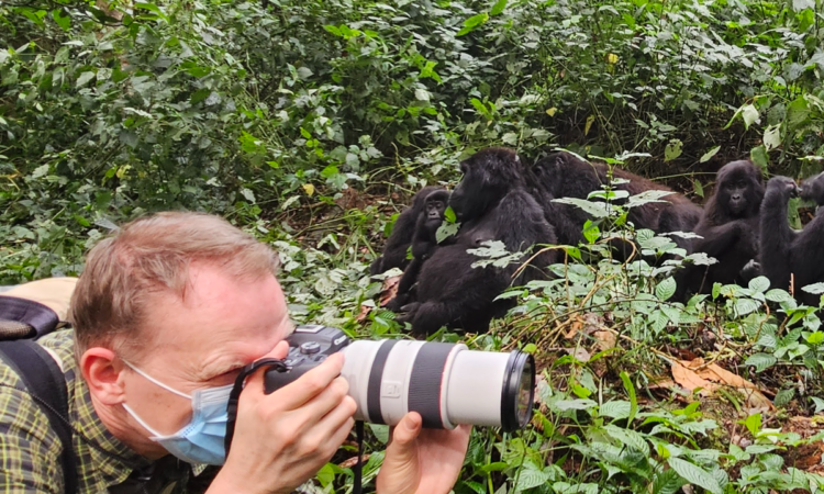 Rwanda Gorilla Photography Safaris