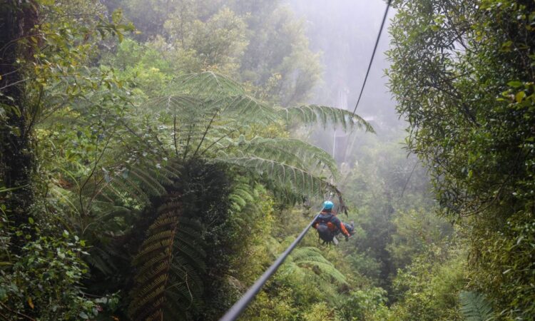 zip lining in Mabira forest