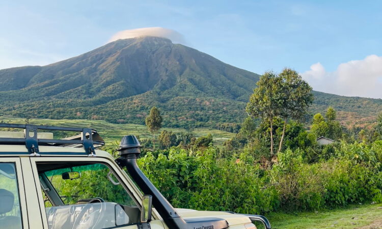 3 Days Rwanda Gorilla Safari
